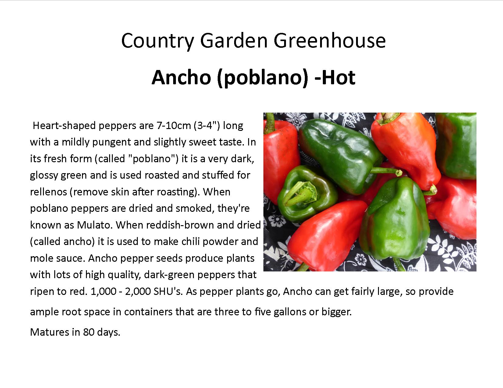 Ancho (poblano) -Hot