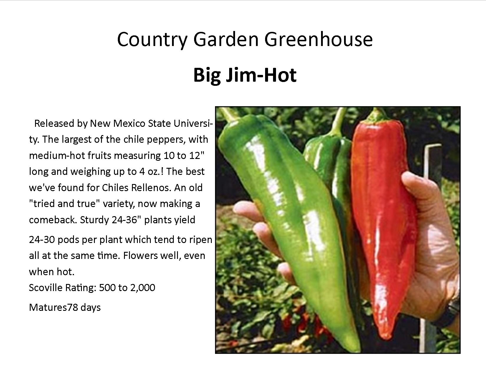 Big Jim-Hot