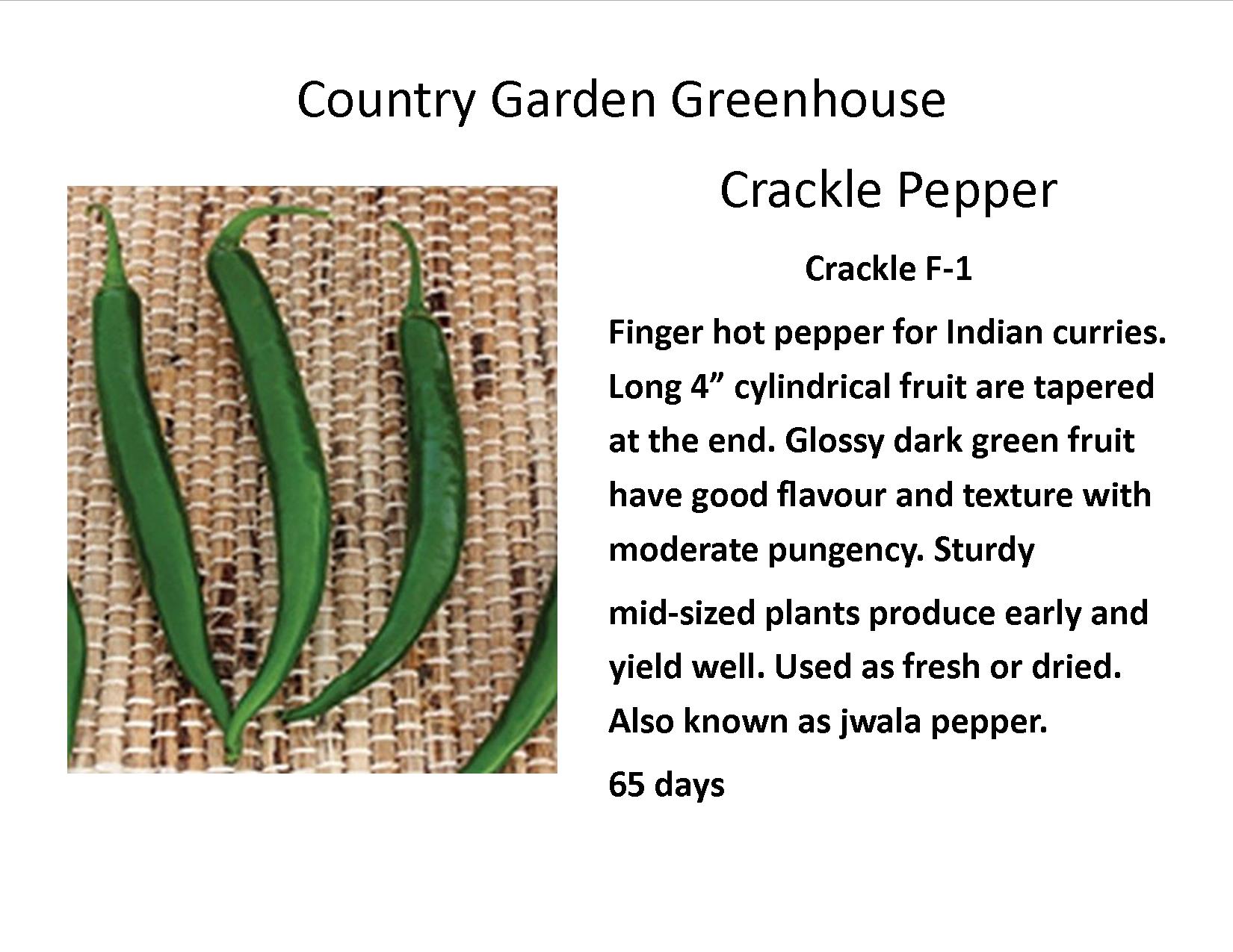 Crackle Pepper
