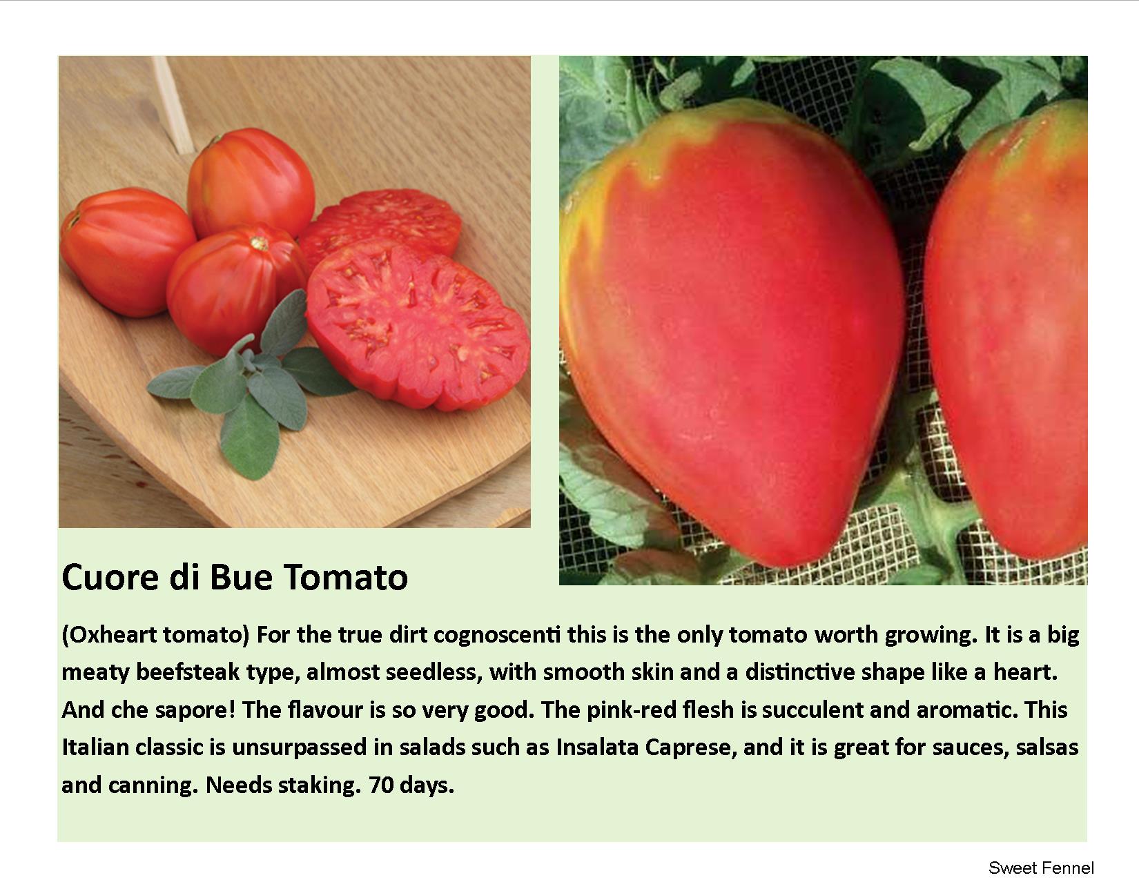 Cuore di Bue Tomato