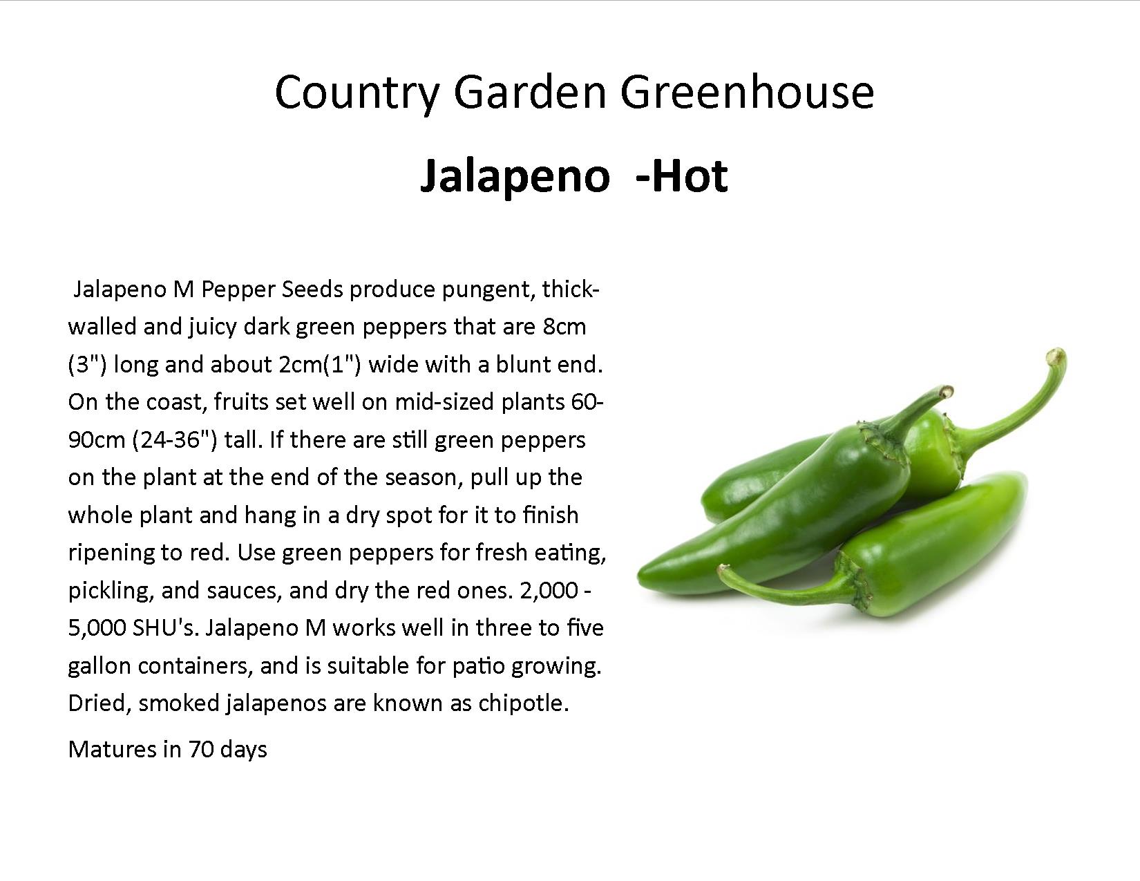 Jalapeno  -Hot