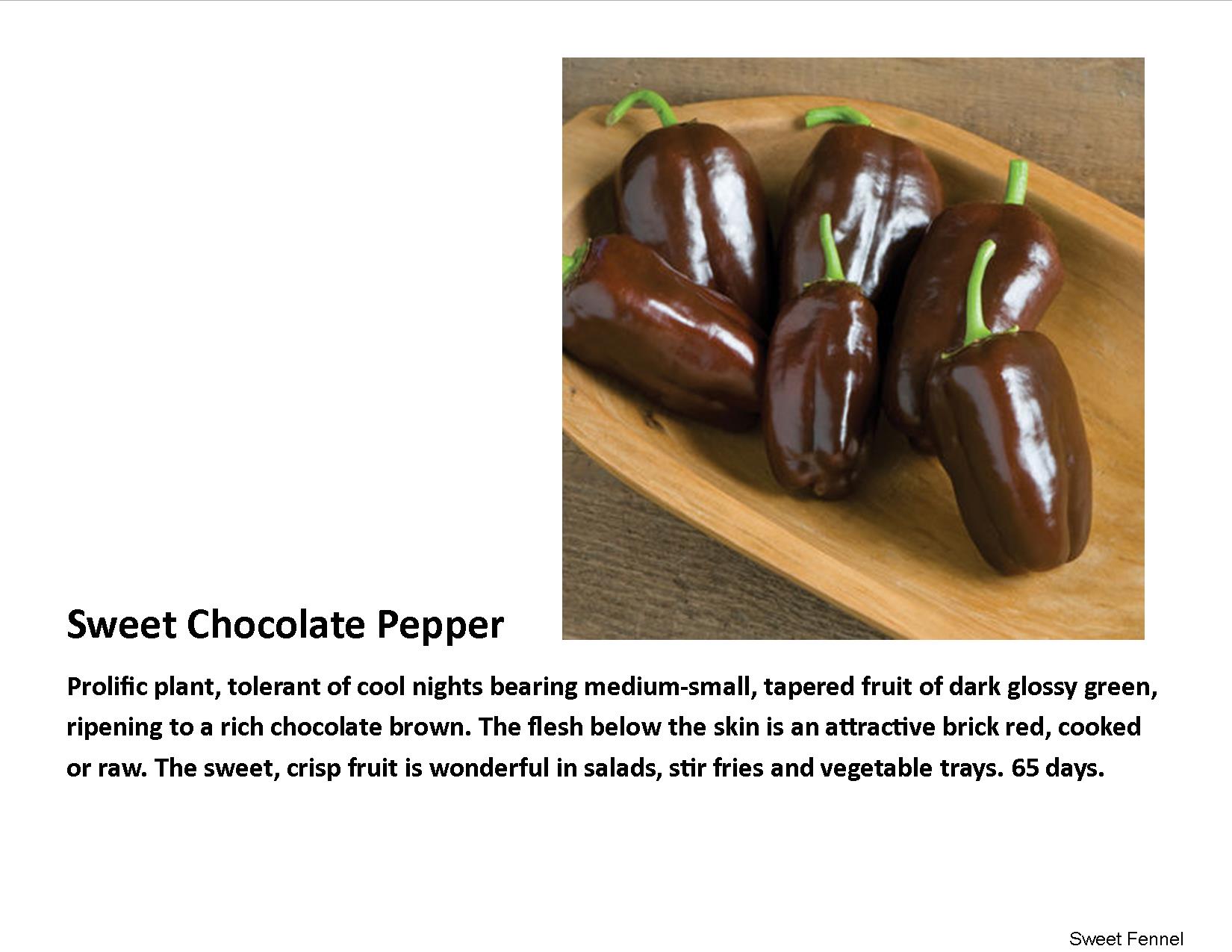 Pepper-Sweet- Chocolate