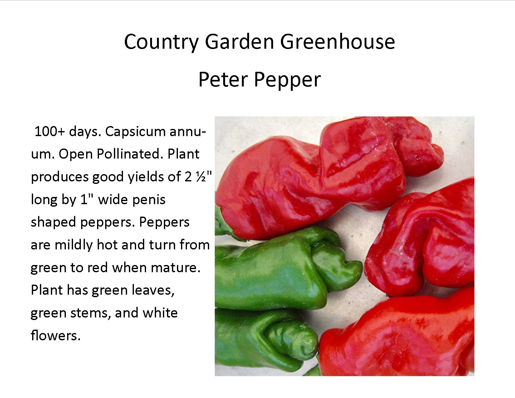 Peter Pepper